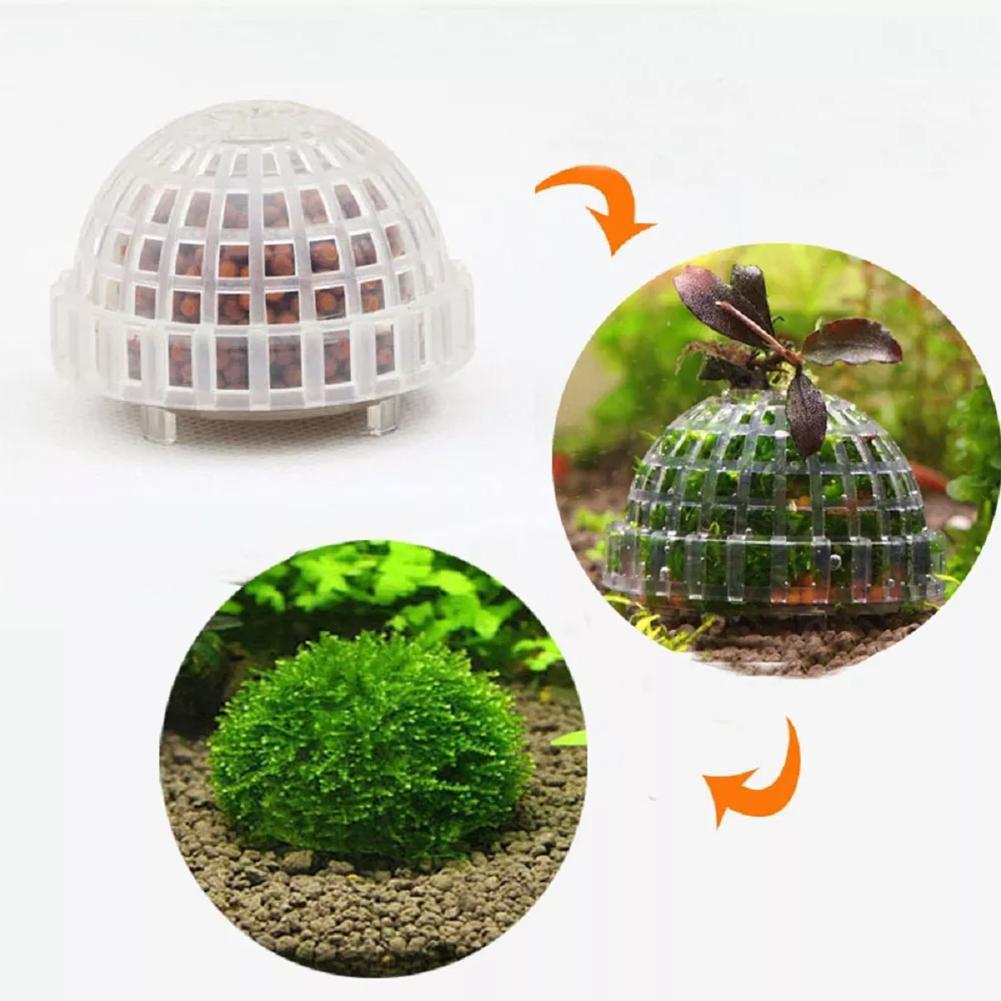 อุปกรณ์ตกแต่งตู้ปลา ที่วางมอสบ - Aquarium Plant Red บทวิจารณ์และราคา