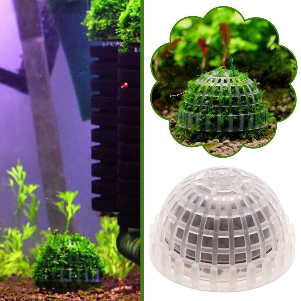 อุปกรณ์ตกแต่งตู้ปลา ที่วางมอสบ - Aquarium Plant Red บทวิจารณ์และราคา