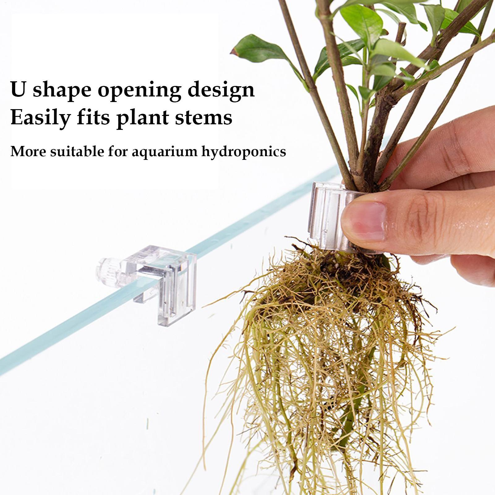 ที่แขวนต้นไม้ในตู้ปลา 6 ชิ้น ถ - Aquarium Plant Holder บทวิจารณ์และราคา