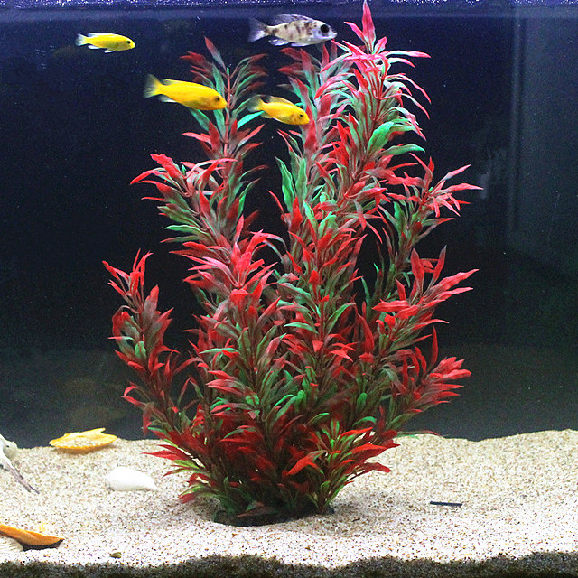 50 ซม.ถังปลาประดิษฐ์พืชหายากAq - Aquarium Plants Book บทวิจารณ์และราคา