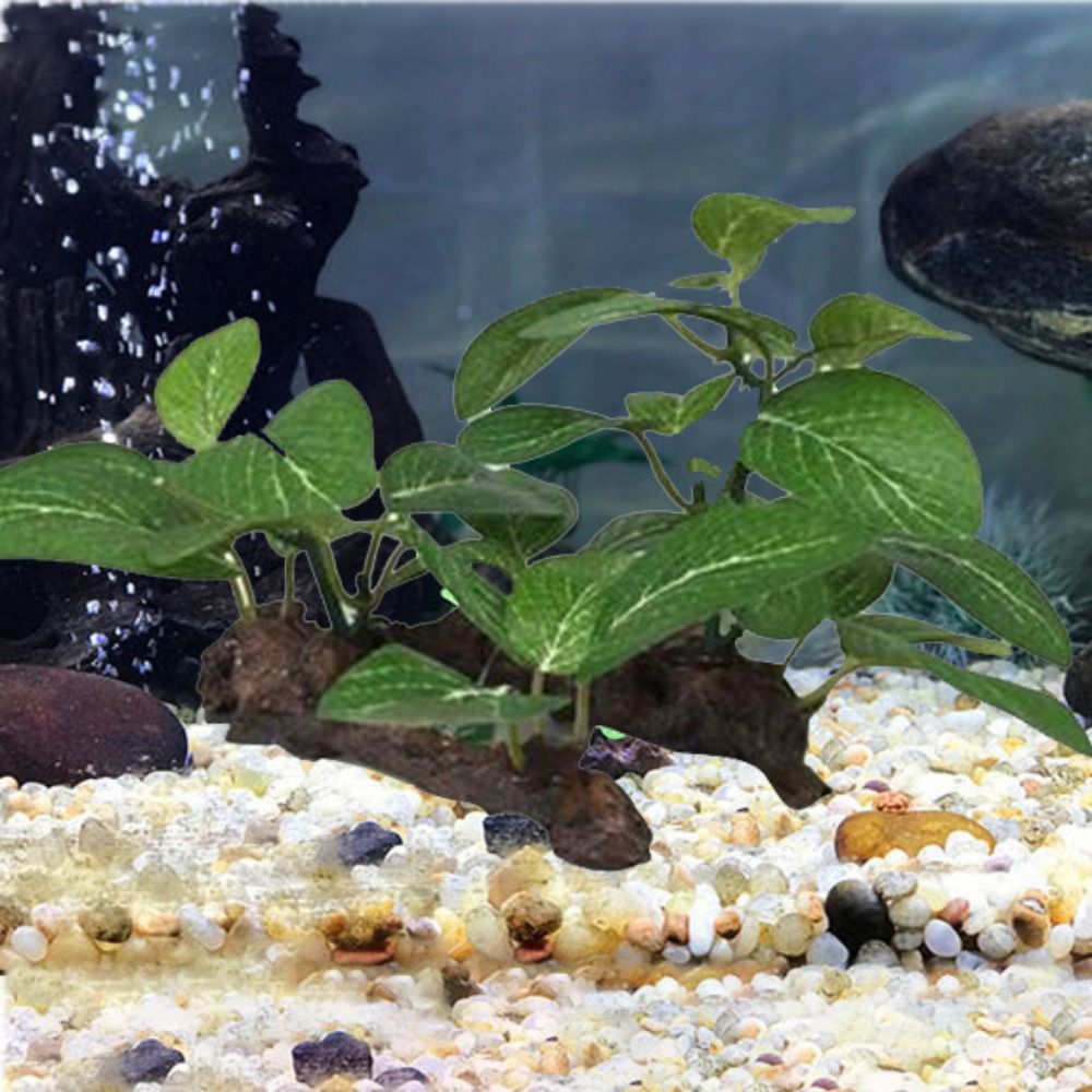 พืชประดิษฐ์พลาสติกเนื้อสัมผัสเ - Planted Aquarium Jar บทวิจารณ์และราคา