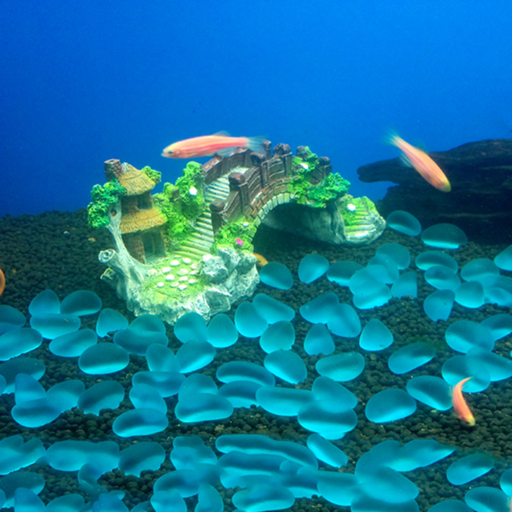 อุปกรณ์ตู้ปลา Arbor ต้นไม้ปลอม - Planted Aquarium Media บทวิจารณ์และราคา