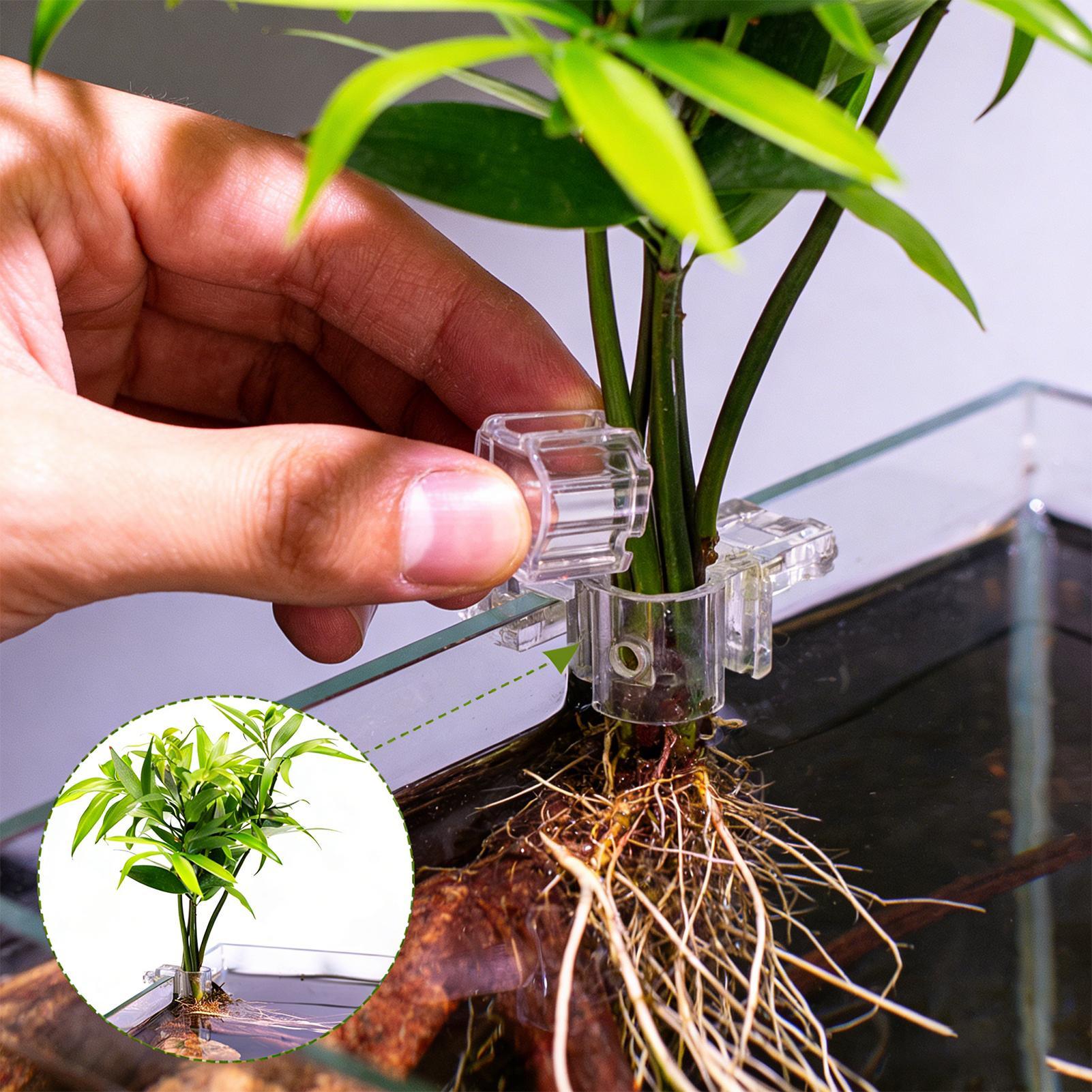 ที่แขวนต้นไม้สำหรับตู้ปลา 6 ชิ - Aquarium Plant Holder บทวิจารณ์และราคา