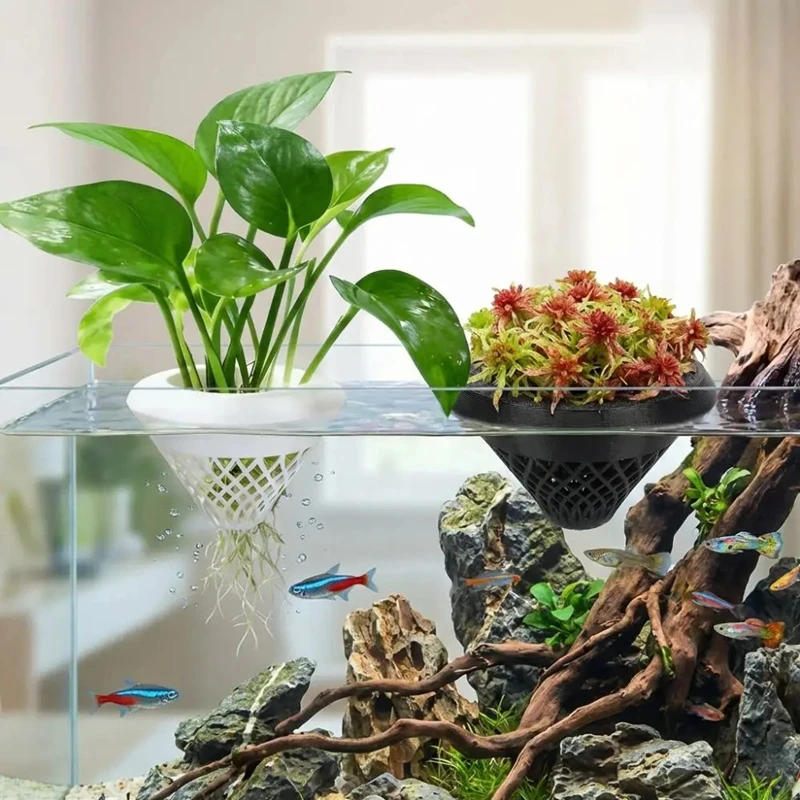 กระถางปลูกพืชน้ำแบบลอยได้, ที่ - Planted Aquarium Jar บทวิจารณ์และราคา