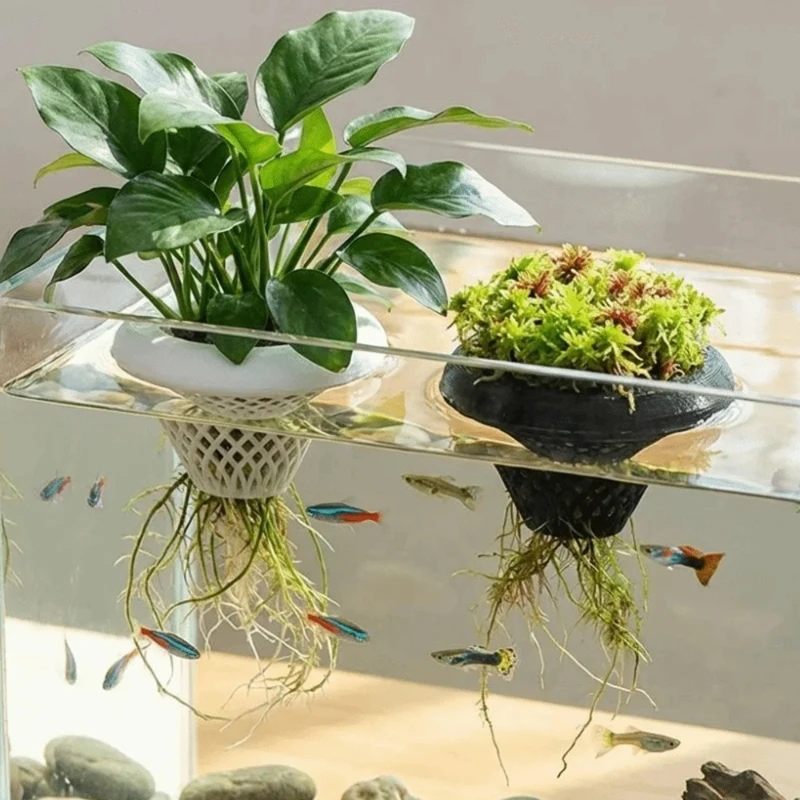 กระถางปลูกพืชน้ำแบบลอยได้, ที่ - Planted Aquarium Jar บทวิจารณ์และราคา
