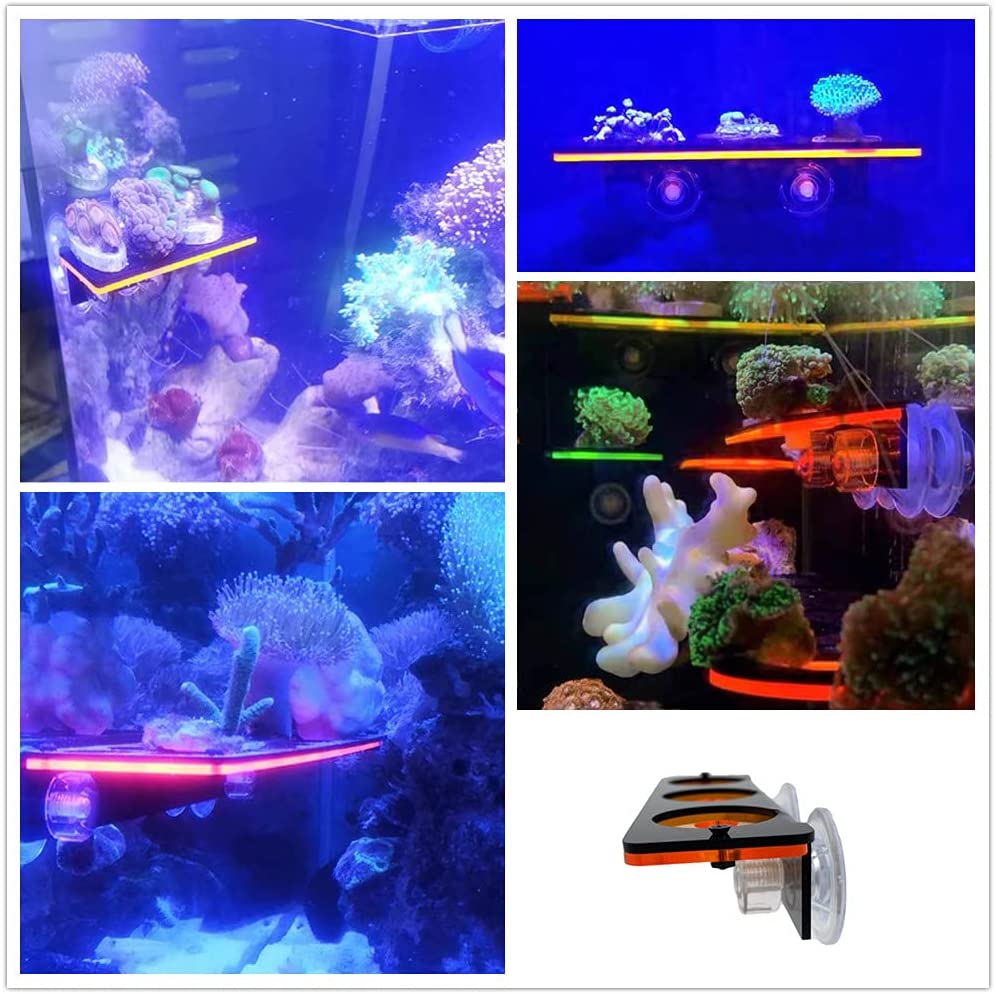 เรืองแสง Coral Frag ปลั๊กยึดปล - Aquarium Plant Holder บทวิจารณ์และราคา