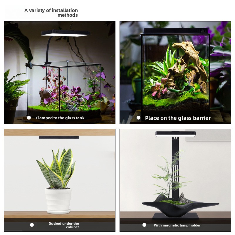 ไฟ LED สำหรับตู้ปลาแบบแม่เหล็ก - Planted Aquarium Jar บทวิจารณ์และราคา